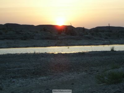 A Sunset in Balochistan
روزرد یا دیگر
ملکگول گیشتر نیاگارا  آپریچ ء روزردے ندارگے چارگ ء کینڈا روانت، بلے اے ہم منّگ بوتگ کہ بلوچستان ء جیمڑی ء روزردے ندارگ ہم بے مٹّ انت - بلے اے ندارگ خیرآباد کیچ ء چیری نیمگا کورکی ء گورم او کلیرگ ء جُمپانی میاں ء زپت کتگ

