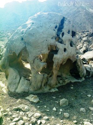 Nature Footage 
کوہ انت بلوچانی کلات
Koh ant Balochani Kalat
اے کوہ  چو انسانی سرے وڑا انت ۔ بلے اشیے توک گیشتر ھالیگ انت ۔ ایشانی توک ء رہ گواز ارام کتُ کن انت ۔  چمیشکا کوہنیں  بلوچاں '' کوہ انت بلوچانی کلات '' من گوشاں اے چہ کلاتاں کم تر نہ انت ۔ چیا کہ کلاتاں دگہ لشکر دزگیر کن انت  بلے کوہاںی دزگیر کنگ گران انت ۔
