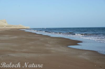 Balochistan beach
 پلگاریں تیاب دپ
 palgarin tayab dap
بلوچستان ءَ چوشیں ساپ ءُ سلہیں تیاب دپ ھزارانی ھساب ءَ است، بلے ادا زندے آسرات نہ بوّگے برابر انت۔ اے اکس پسنی ءِ زرّین ءُ جڈی ءِ میان ءَ زپت کتگ۔
