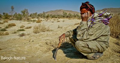 I'm a Baloch
Mani Golzamin
منی گُلزمین
بلوچ کہ اے گلزمین ء اسل وارث انت بلے آئیے مال او متاہ یک چادر او یک داس انت - کہ کاہ بہ چنت او وتی پس و گوکاں بہ دنت - اے اکس ء توک ء ہمیش زانگ بیت کہ بلوچ ء مال او متاہ داس او چادرا چہ دگہ ہچ نیست -۔
اکس ء منت 
واجہ جان بلوشی
