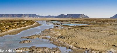 A scene of Way to Gwadar
بلوچستان ءِ ندارگ
Balochistan e nadarag
اے بلوچستان ءِ یک ڈولداریں ندارگے کہ وھدے تو گوادر ءَ روے اے ندارگ تئی وش آھت ءَ کنت ۔ اے اکس باز ڈولدا ر انت، 
اکس ءَ کشوک
جان البلوشی
