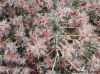 Filename=20140425_113045.jpg
Filesize=226KiB
Dimensions=1067x800
Date added=Apr 17, 2016 20140425_113045.jpg