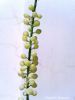 20140605_141045.jpg