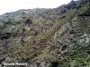 Filename=Bahar_man_koha.jpg
Filesize=523KiB
Dimensions=1467x1100
Date added=Aug 06, 2012 Bahar_man_koha.jpg
