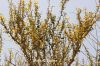 Filename=Chegird_5943.JPG
Filesize=526KiB
Dimensions=1800x1200
Date added=Apr 17, 2012 Chegird_5943.JPG