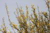 Filename=Chegird_5958.JPG
Filesize=174KiB
Dimensions=1200x800
Date added=Jun 17, 2017 Chegird_5958.JPG
