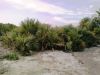 Filename=Daz_0.jpg
Filesize=236KiB
Dimensions=1333x1000
Date added=Dec 09, 2012 Daz_0.jpg