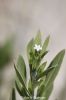 Filename=Eisherk_5241.JPG
Filesize=67KiB
Dimensions=900x1350
Date added=Jun 04, 2012 Eisherk_5241.JPG