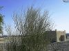 Filename=Hoob1.JPG
Filesize=444KiB
Dimensions=1597x1198
Date added=Jul 10, 2011 Hoob1.JPG