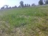 Filename=IMG--14.jpg
Filesize=149KiB
Dimensions=960x720
Date added=Apr 09, 2019 IMG--14.jpg