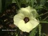 Filename=IMG-5542.JPG
Filesize=159KiB
Dimensions=1333x1000
Date added=Jun 08, 2019 IMG-5542.JPG