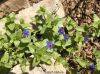 Filename=IMG-9165.JPG
Filesize=181KiB
Dimensions=1067x800
Date added=Jan 26, 2018 IMG-9165.JPG