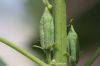 Filename=IMG_0766.JPG
Filesize=87KiB
Dimensions=1200x800
Date added=May 14, 2018 IMG_0766.JPG