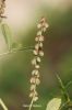 Filename=IMG_2536.JPG
Filesize=73KiB
Dimensions=800x1200
Date added=Mar 18, 2018 IMG_2536.JPG
