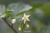 Filename=IMG_2547.JPG
Filesize=57KiB
Dimensions=1200x800
Date added=Mar 25, 2018 IMG_2547.JPG