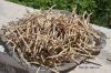Filename=IMG_3070.JPG
Filesize=226KiB
Dimensions=1200x800
Date added=May 01, 2016 IMG_3070.JPG