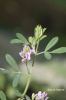 Filename=IMG_3268.JPG
Filesize=75KiB
Dimensions=800x1200
Date added=Sep 15, 2018 IMG_3268.JPG