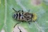 Filename=IMG_3498.JPG
Filesize=98KiB
Dimensions=1200x800
Date added=Aug 26, 2018 IMG_3498.JPG