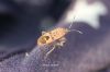 Filename=IMG_5475.JPG
Filesize=74KiB
Dimensions=1200x800
Date added=Nov 17, 2016 IMG_5475.JPG