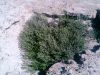 Filename=JAAWAD.jpg
Filesize=246KiB
Dimensions=1280x960
Date added=Mar 05, 2011 JAAWAD.jpg