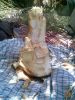 Filename=Koonsh_.jpg
Filesize=346KiB
Dimensions=1200x1600
Date added=Jul 29, 2011 Koonsh_.jpg