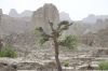 Landscape_of_Balcohistan.jpg