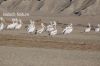 Filename=Mish_Morg_4658.JPG
Filesize=222KiB
Dimensions=1800x1200
Date added=Jan 16, 2012 Mish_Morg_4658.JPG