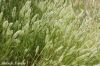 Filename=Naam_5835.JPG
Filesize=298KiB
Dimensions=1500x1000
Date added=Aug 21, 2012 Naam_5835.JPG