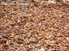 Filename=Nah.jpg
Filesize=171KiB
Dimensions=867x650
Date added=Sep 20, 2012 Nah.jpg