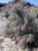 Filename=Padgaz.jpg
Filesize=145KiB
Dimensions=720x960
Date added=Jan 19, 2020 Padgaz.jpg
