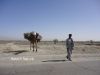 Filename=Pish_e_Baar_00203.JPG
Filesize=122KiB
Dimensions=1200x900
Date added=May 26, 2012 Pish_e_Baar_00203.JPG