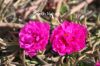 Filename=Regetto_3427.JPG
Filesize=207KiB
Dimensions=1800x1200
Date added=Jan 21, 2012 Regetto_3427.JPG