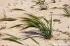 Filename=Roba_domb_8663.JPG
Filesize=192KiB
Dimensions=1350x900
Date added=Mar 05, 2013 Roba_domb_8663.JPG