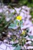 Filename=Shimsh_Azat__8568.JPG
Filesize=162KiB
Dimensions=1200x1800
Date added=Feb 27, 2013 Shimsh_Azat__8568.JPG