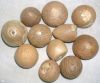 Filename=Supari_or_betel_nut.JPG
Filesize=188KiB
Dimensions=1198x1000
Date added=Aug 15, 2015 Supari_or_betel_nut.JPG