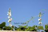 Filename=Waloor_2833.JPG
Filesize=168KiB
Dimensions=1800x1200
Date added=Dec 18, 2011 Waloor_2833.JPG