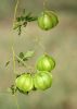 Filename=baloon_van.jpg
Filesize=225KiB
Dimensions=731x1024
Date added=Sep 28, 2019 baloon_van.jpg