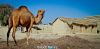 Filename=desert_ship.jpg
Filesize=338KiB
Dimensions=2050x1013
Date added=Nov 05, 2011 desert_ship.jpg