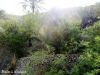 Filename=githaan.jpg
Filesize=290KiB
Dimensions=1200x900
Date added=Aug 08, 2013 githaan.jpg