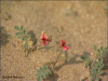 Filename=vlcsnap-2016-02-06-12h59m18s184.png
Filesize=415KiB
Dimensions=640x480
Date added=Jun 03, 2016 vlcsnap-2016-02-06-12h59m18s184.png