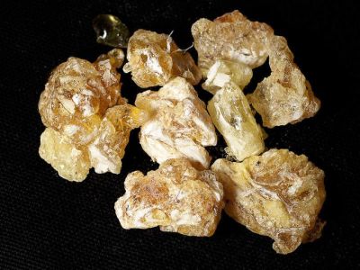 Frankincense (Boswellia serrata)
کوندریک
Kondrik
کندرک یک ٹوہیں ءُ ساہگ داریں درچک ءِ۔ اے درچک دار ءَ چہ سُسُر پیداک بیت۔ اے سُسُر ءَ کندرک گوش انت ، کندرک ءَ پہ تہلگ کار مرز کن انت، کندرک ءَ چو سوچُکی پیما بُن دیینت ءُ دوتاں وشیں بوہ تالان بیت ۔

