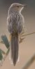 Filename=000.jpg
Filesize=103KiB
Dimensions=687x1338
Date added=Jul 31, 2014 000.jpg