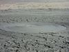 Filename=Mud_valcano_in_Hingol_n.jpg
Filesize=148KiB
Dimensions=960x720
Date added=Sep 14, 2014 Mud_valcano_in_Hingol_n.jpg