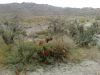 Filename=Nam.jpg
Filesize=174KiB
Dimensions=960x720
Date added=Sep 14, 2014 Nam.jpg