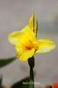 Filename=Shitan_Moz_9557.JPG
Filesize=71KiB
Dimensions=900x1350
Date added=May 19, 2013 Shitan_Moz_9557.JPG