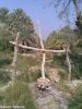 Filename=Shonchok.jpg
Filesize=101KiB
Dimensions=600x800
Date added=Jun 05, 2013 Shonchok.jpg
