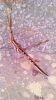 Filename=bb_fatoma_e_aps.jpg
Filesize=135KiB
Dimensions=600x1067
Date added=Sep 23, 2013 bb_fatoma_e_aps.jpg