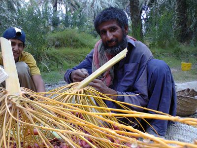 Date season in Balochistan
آمین انت
Aamin ant

