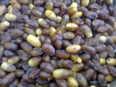 Palm date fruit 
ناہ تاپ انت
Nah tap ant
ناہ پہ ھُشک کنگ ءِ واستہ ناہ ءِ کوت تاپ انت ۔ 
