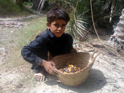 Baloch boy
مچ بُنی
Mach bony
وھدے کہ آمین بیت مچ ءِ ناھانی روپک ء واستہ یک مردمے مچ ءِ سرا سر کپیت بلے یک مردم ء مچ ء بن ءَِ بیت روپوک ناھاں گوشان ء کنت بلے وھدے کہ گورشان پُر بیت گڈا ناھاں کپات ءَ کنت ہوئند زوریت کپاتا بند ات ءُ جہل ء دیم دنت۔ مچ بنے مردم کپات ء ناہاں زوریت ء سپت ء مان کنت ہمے وڑا مچ بنی مردم پکار بیت ۔ 
